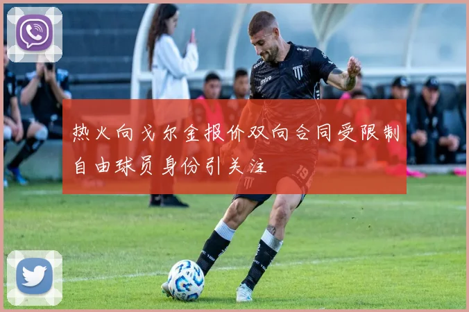 热火向戈尔金报价双向合同受限制自由球员身份引关注