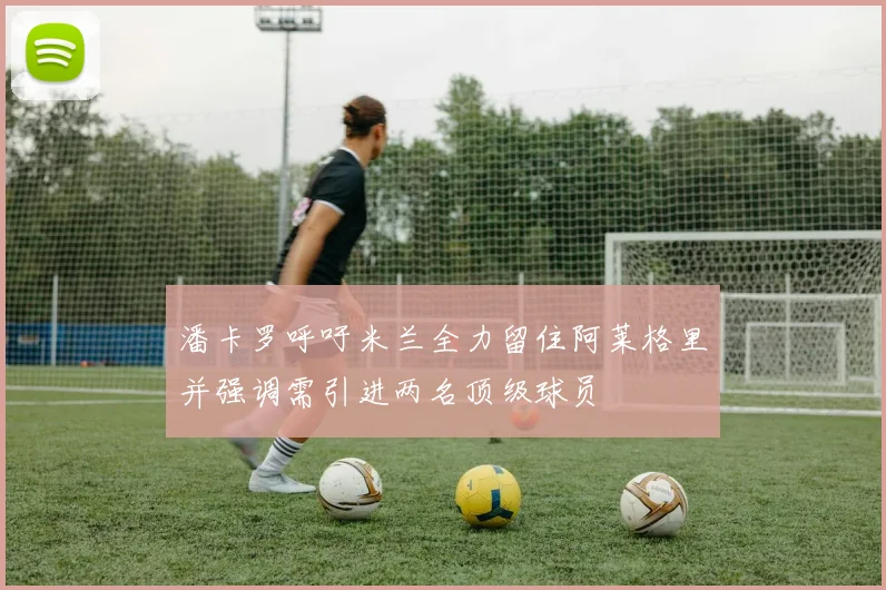 潘卡罗呼吁米兰全力留住阿莱格里并强调需引进两名顶级球员