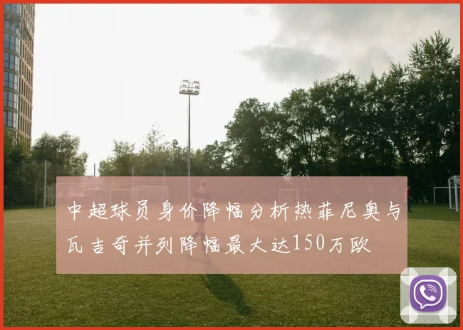 中超球员身价降幅分析热菲尼奥与瓦吉奇并列降幅最大达150万欧